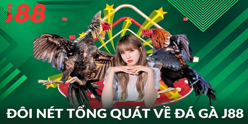 Vài nét cơ bản về chuyên mục đá gà