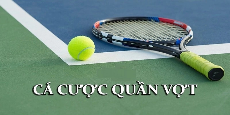 Tìm hiểu cách cá cược tennis để nâng cao khả năng dự đoán kết quả