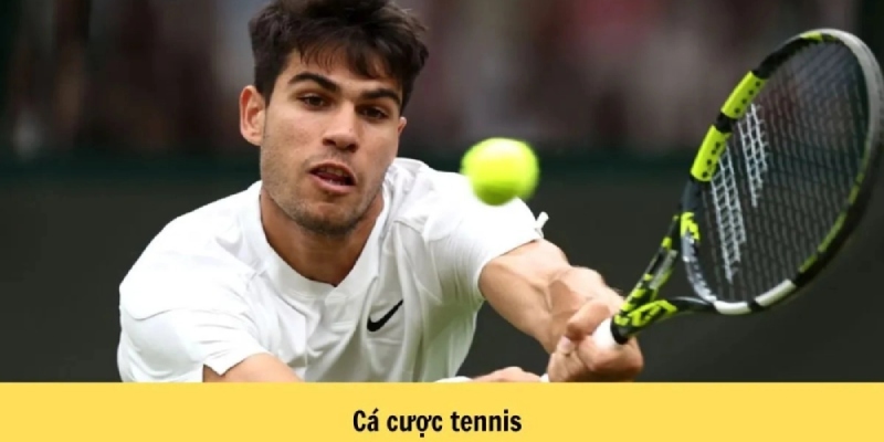 Hướng dẫn cá cược tennis sẽ giúp bạn hiểu rõ cách chọn lựa kèo hợp lý