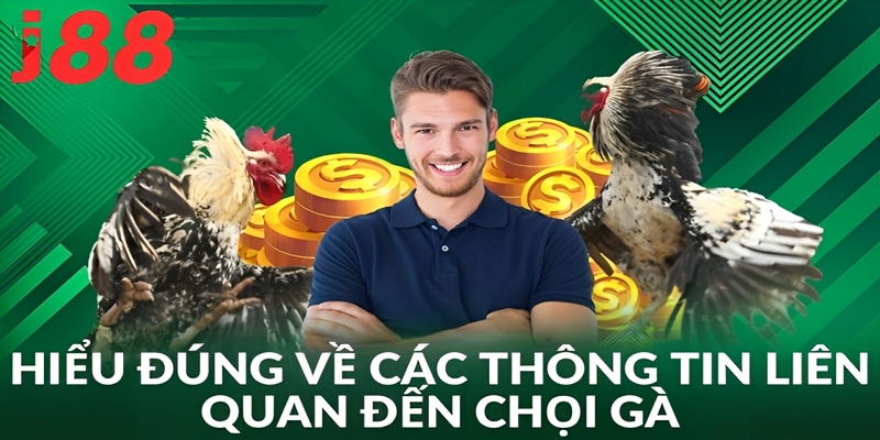 Tất tần tật thông tin quan trọng cần nắm về chọi gà